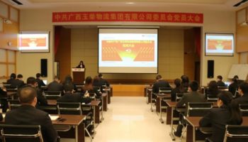 玉柴物流集團黨委完成換屆選舉，夯實黨建基礎